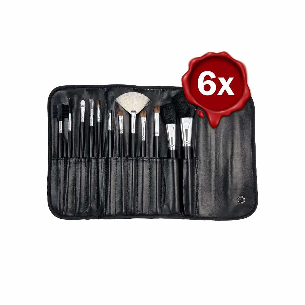 مجموعة فرش مكياج ليونيس من تارجو - 6 قطع احترافية للتجميل